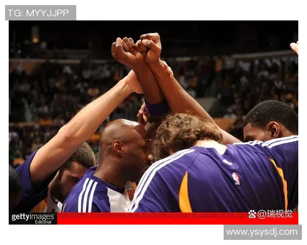 西安排球队团队协作引发热议球迷对战术配合的不同看法